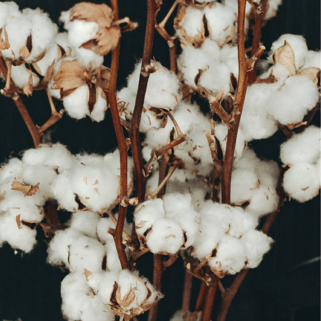 Why Choose a GOTS Certified Mattress?