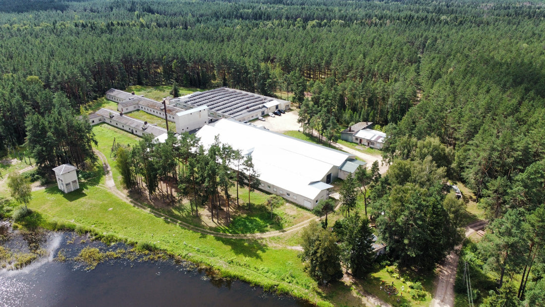 Reconnect With Nature — The Naturalist Way