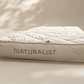 Naturforscher-Aura – Fest