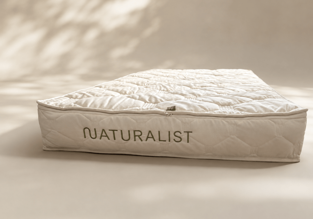 Naturforscher-Aura – Fest